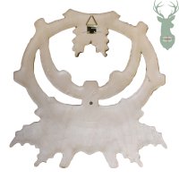 Trófea alátét - Vaddisznó agyarak