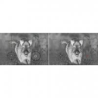 Hőkamera céltávcső Night Pearl FOX 35 ELITE II