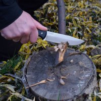 BPSKnives Raven SSH kés